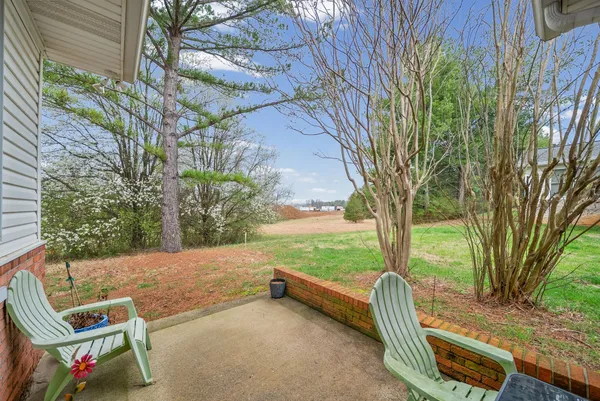 a view of backyard with tree