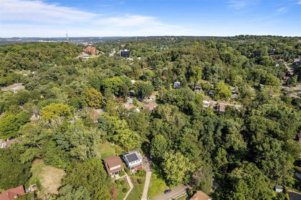 227 Elmore Road Pittsburgh, PA 15221 - Photo 48 of 50 a view of a city with lush green forest