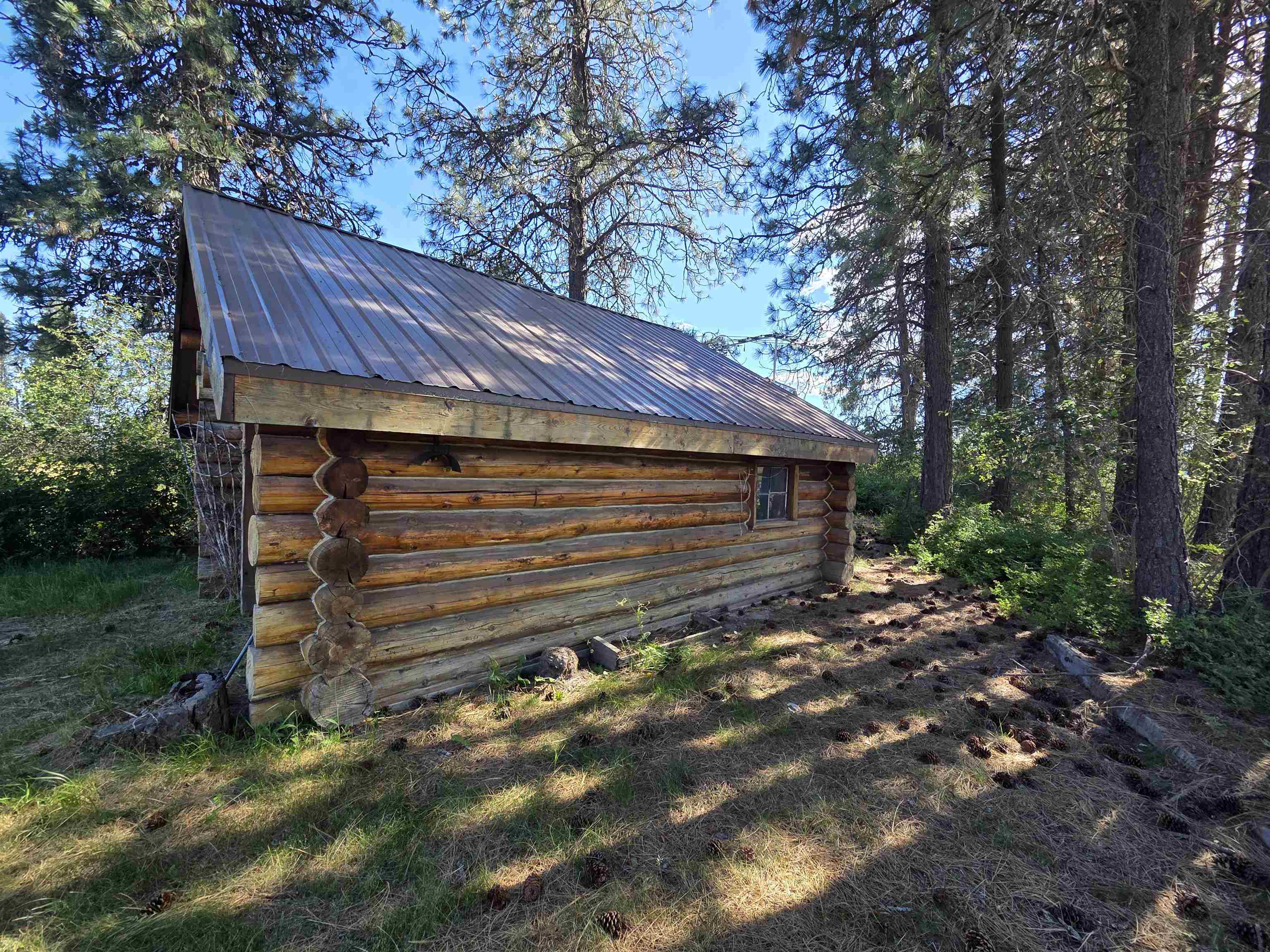 123 Cusick Meadow Road Cusick, WA 99119 - Photo 5 of 17 Gallery Image 5