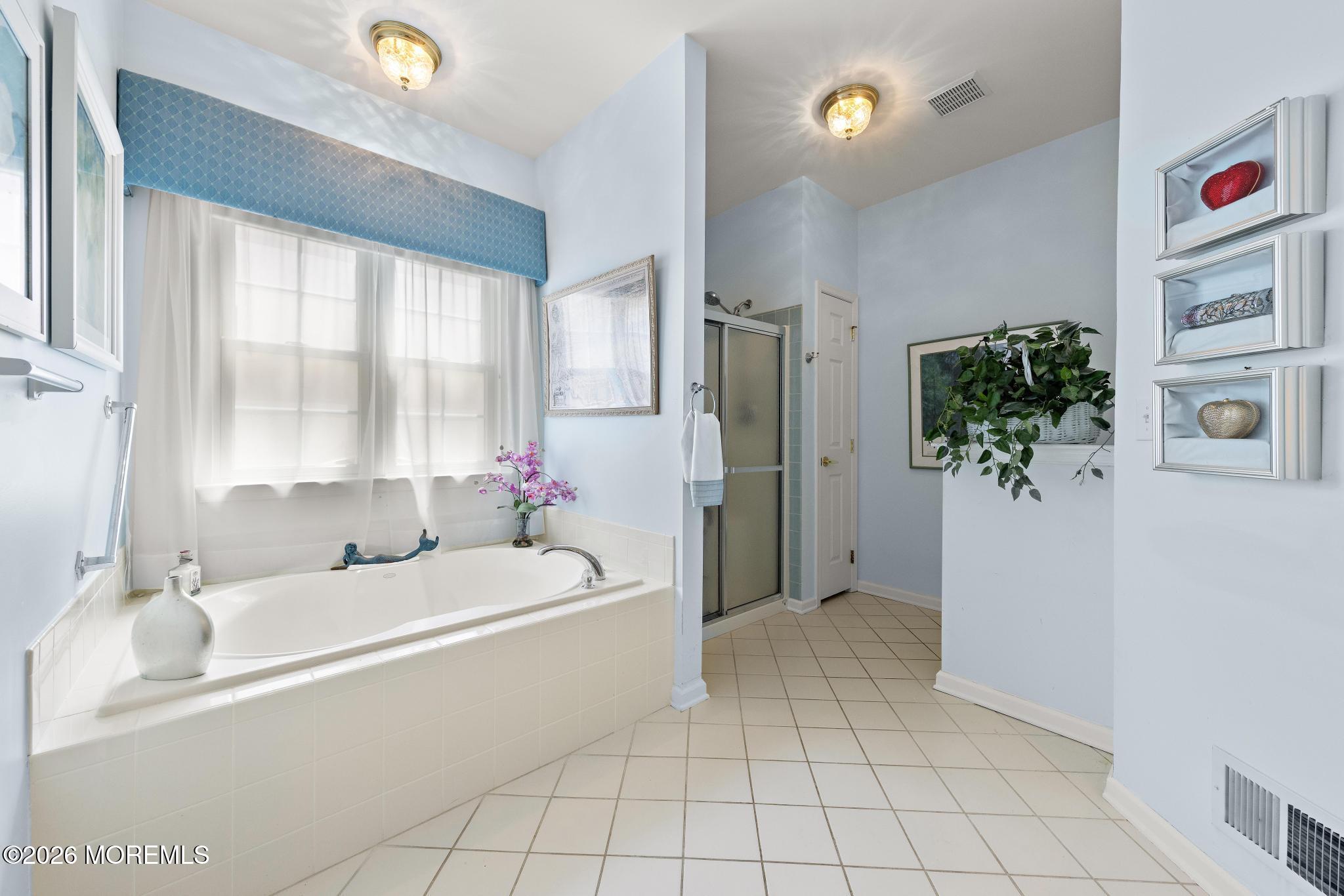 23 Congressional Road Jackson, NJ 08527 - Photo 32 of 65 a bathroom with a tub a potted plant and a large window