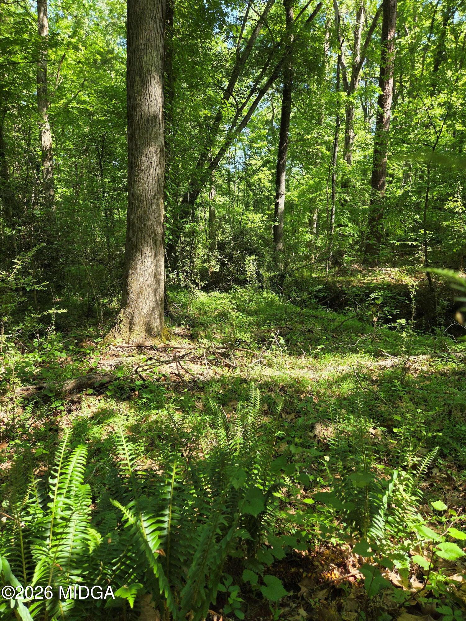 1898 Wood Valley Road Macon, GA 31211 - Photo 13 of 18 4