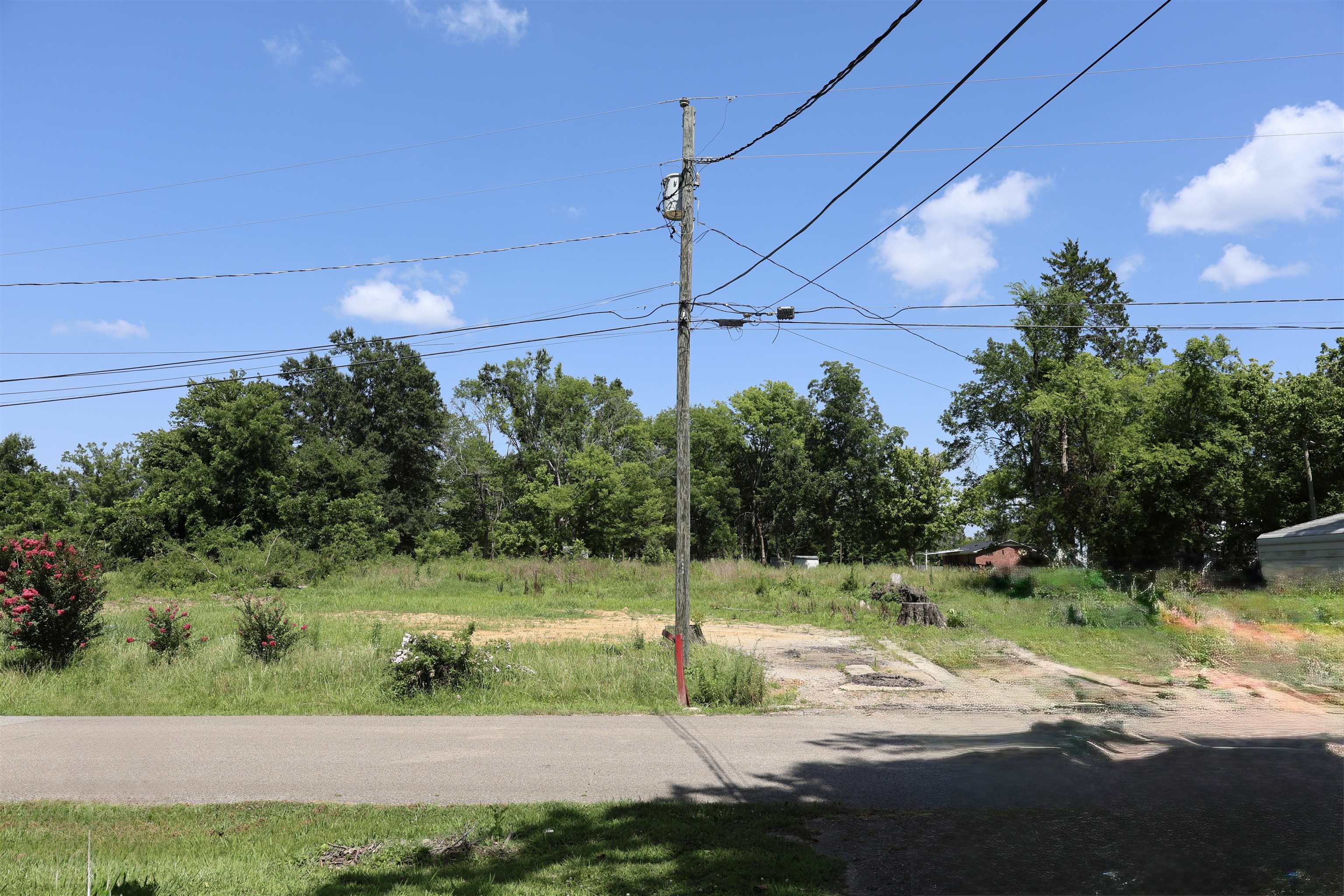 123 North Magnolia Street Adamsville, TN 38310 - Photo 5 of 25 a view of a park