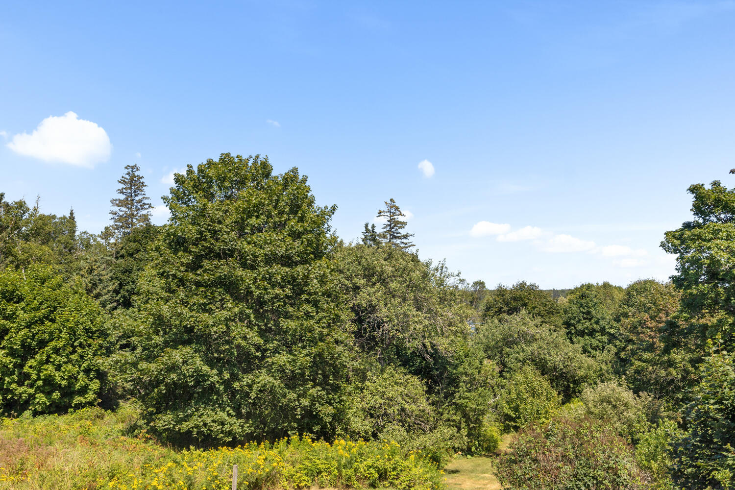 102 Bernard Road Tremont, ME 04612 - Photo 30 of 41 maria-28