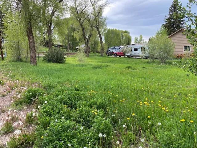 a view of yard with green space