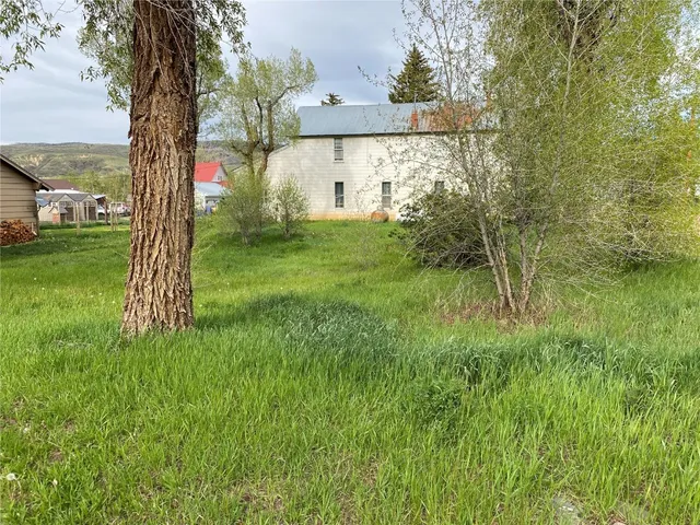 a view of a back yard