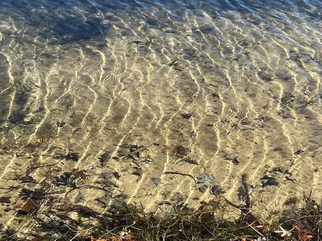 $189,900 | 14455 Frances Avenue, Battle Creek, MI 49017