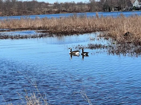 $189,900 | 14455 Frances Avenue, Battle Creek, MI 49017