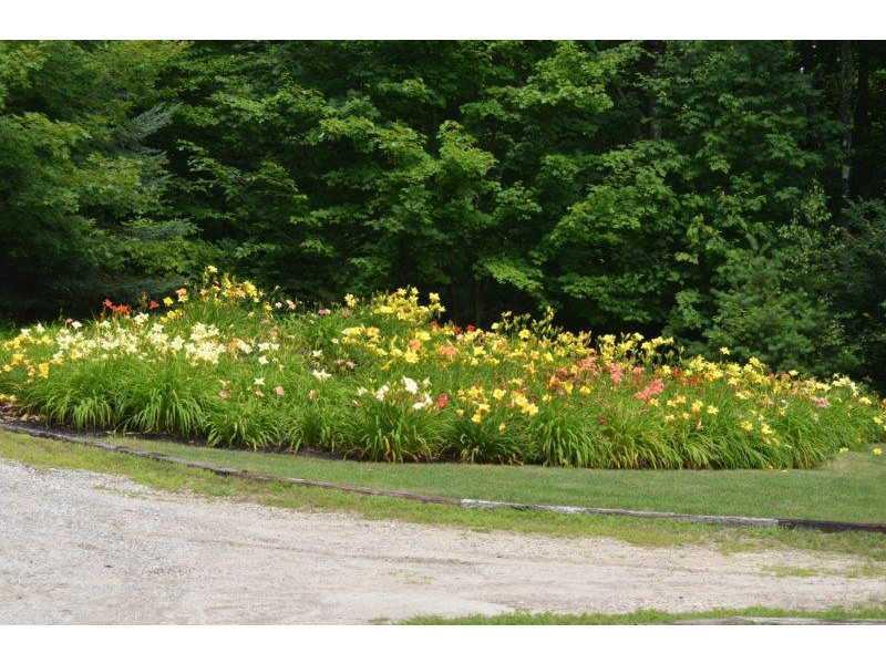 332 Kansas Road Bridgton, ME 04009 - Photo 32 of 35 Yard/Garden.
