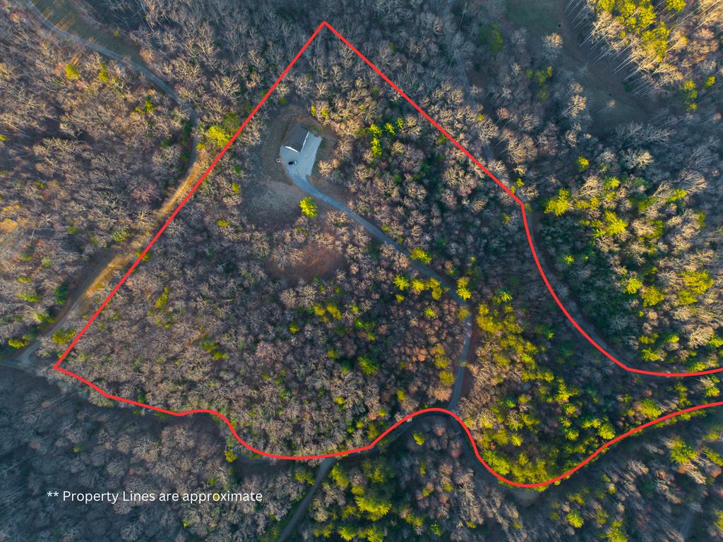 802 Mull Valley Road Morganton, GA 30560 - Photo 1 of 61 Main View