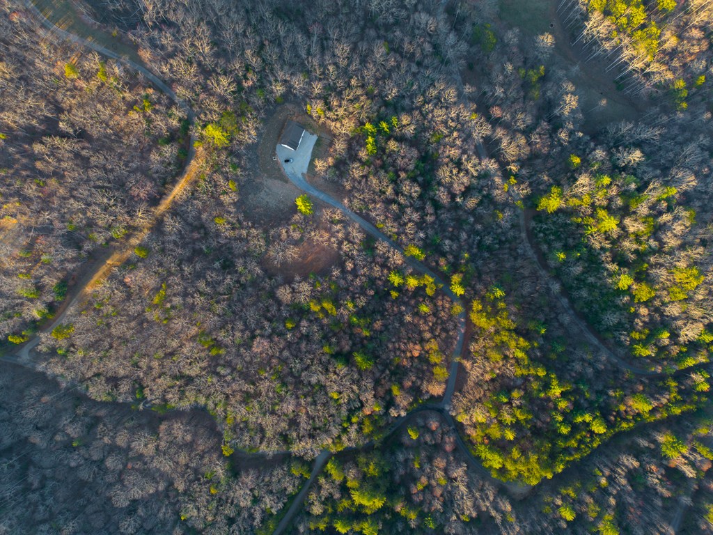 802 Mull Valley Road Morganton, GA 30560 - Photo 12 of 61
