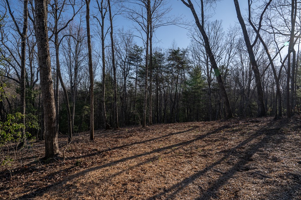 802 Mull Valley Road Morganton, GA 30560 - Photo 52 of 61