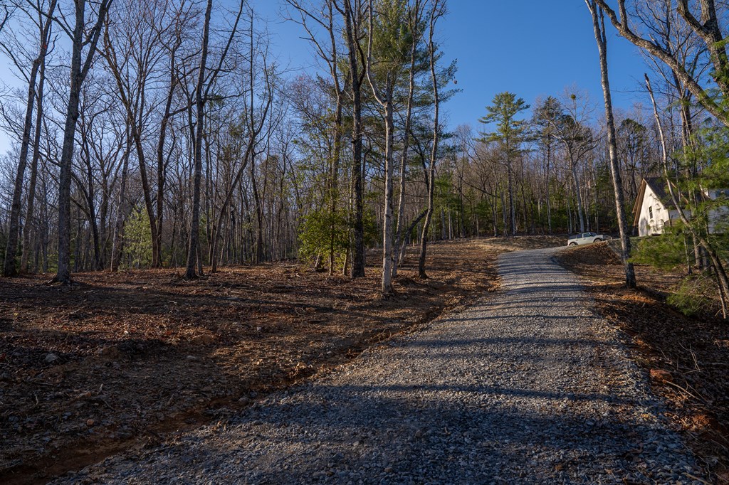 802 Mull Valley Road Morganton, GA 30560 - Photo 56 of 61