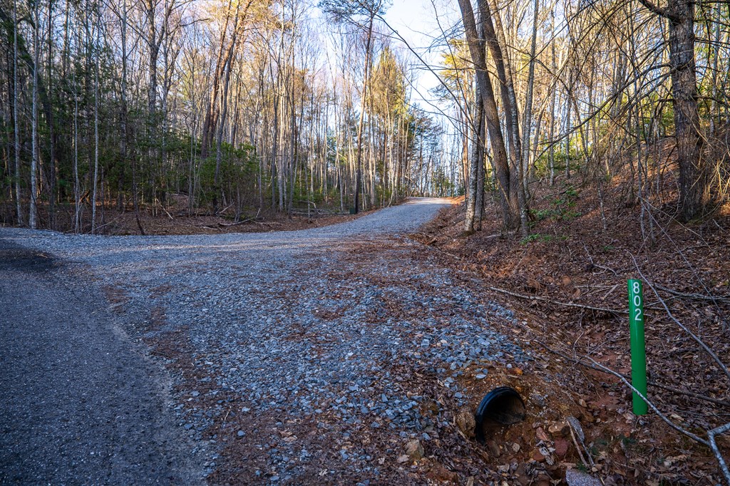 802 Mull Valley Road Morganton, GA 30560 - Photo 57 of 61