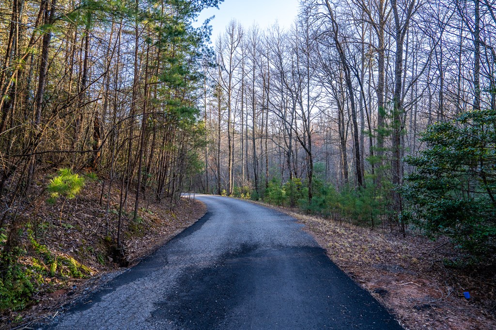 802 Mull Valley Road Morganton, GA 30560 - Photo 59 of 61