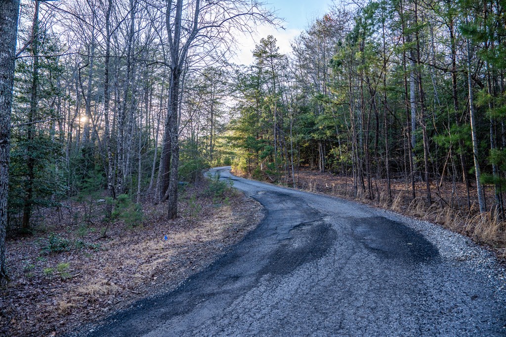 802 Mull Valley Road Morganton, GA 30560 - Photo 60 of 61