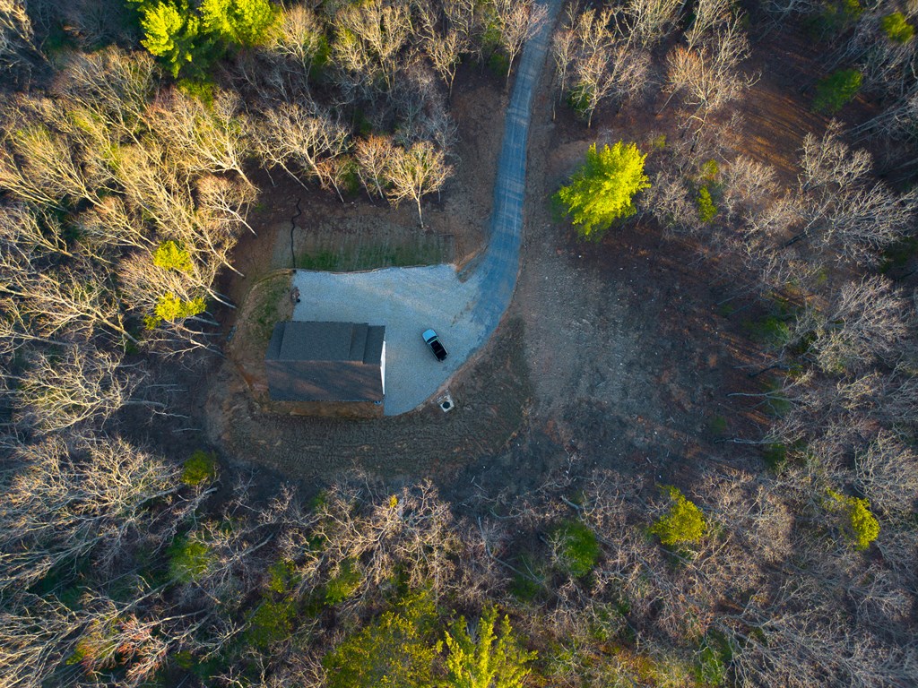 802 Mull Valley Road Morganton, GA 30560 - Photo 8 of 61
