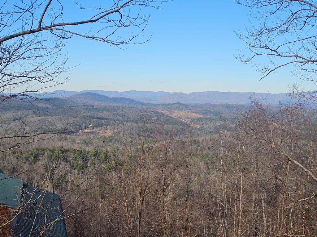 a view of a field with a mountain in the background