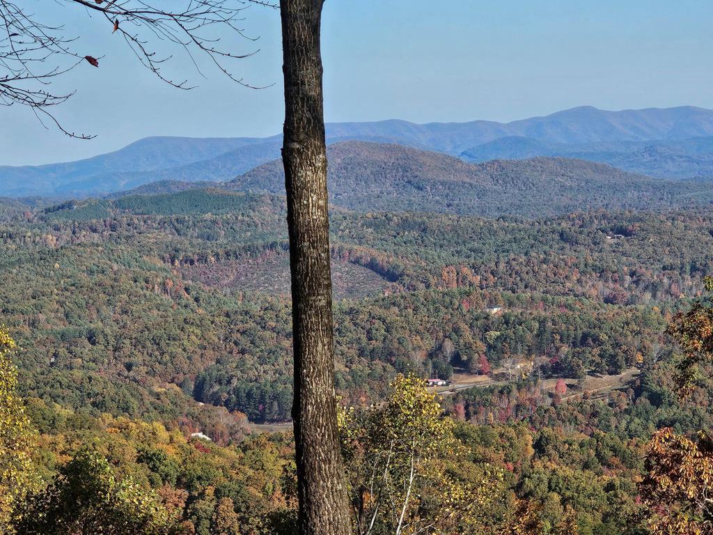 38 Trophy Buck Point Murphy, NC 28906 - Photo 2 of 14 a view of a yard with a mountain
