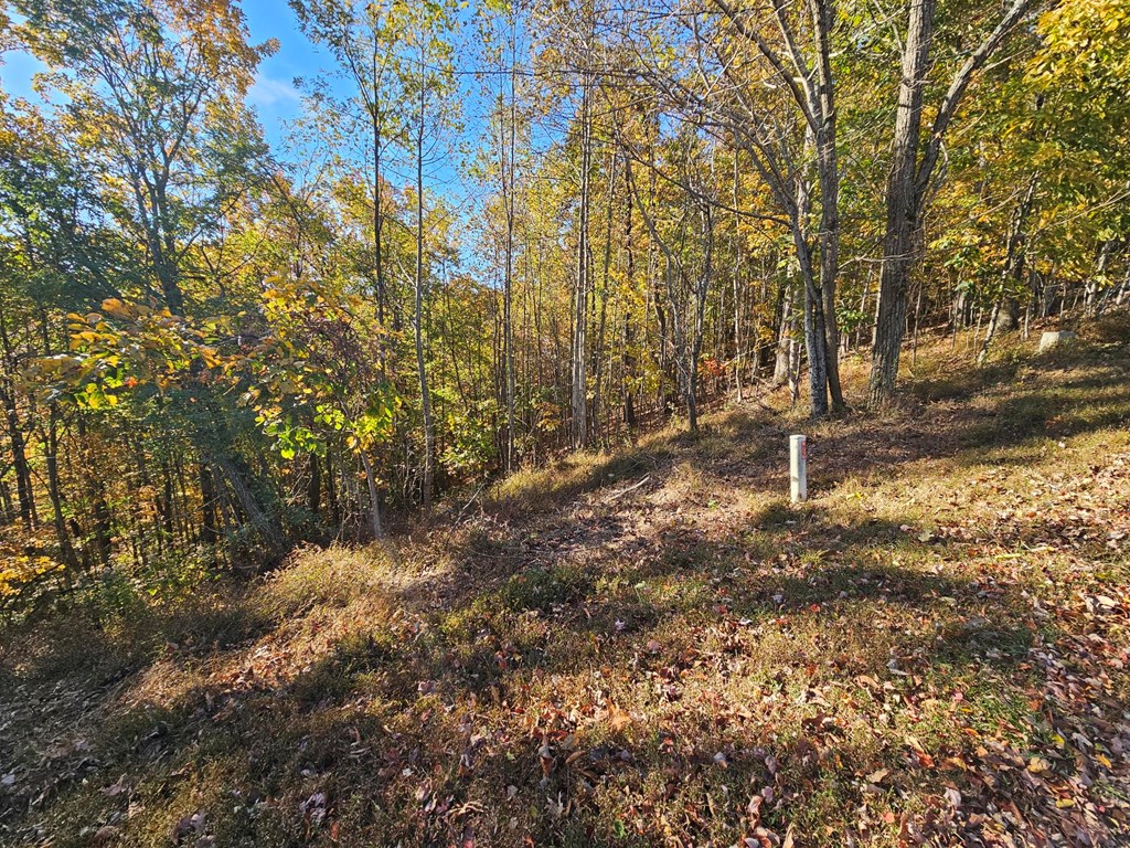 38 Trophy Buck Point Murphy, NC 28906 - Photo 8 of 14 a backyard of a house with lots of green space