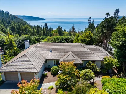 a view of a backyard with plants and a patio