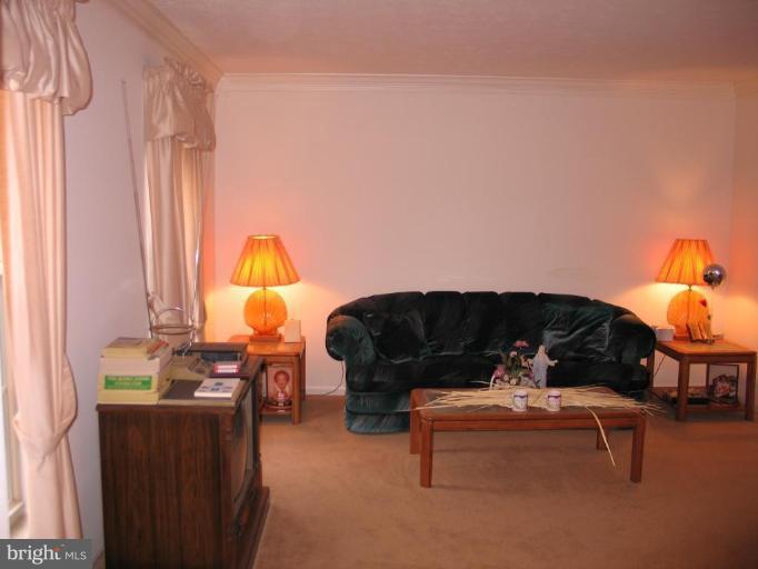 2065 Park Trail Road Windsor Mill, MD 21244 - Photo 21 of 30 Living Room #3