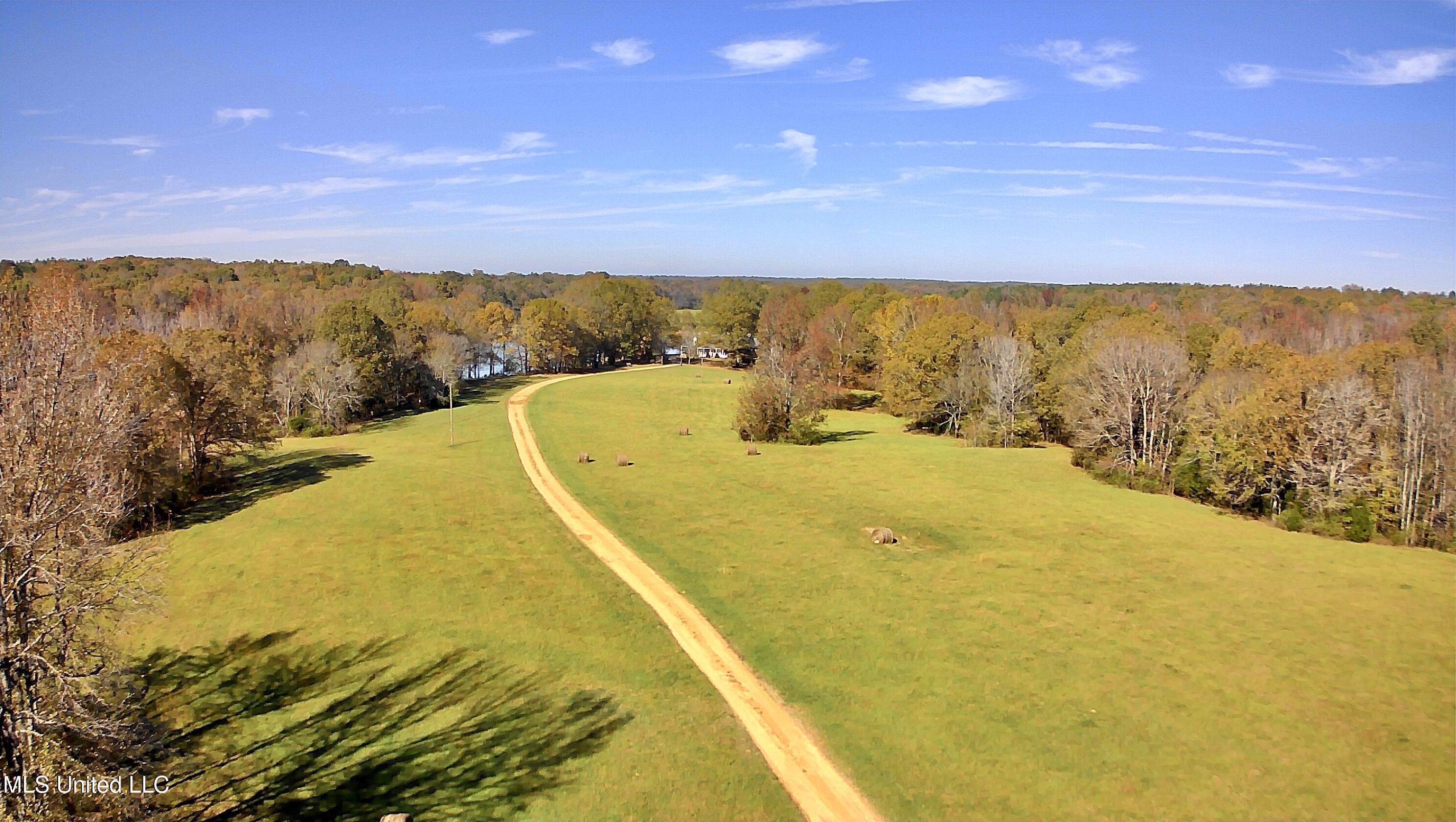 29195 Highway 4 Coldwater, MS 38618 - Photo 3 of 52 IMG_1159