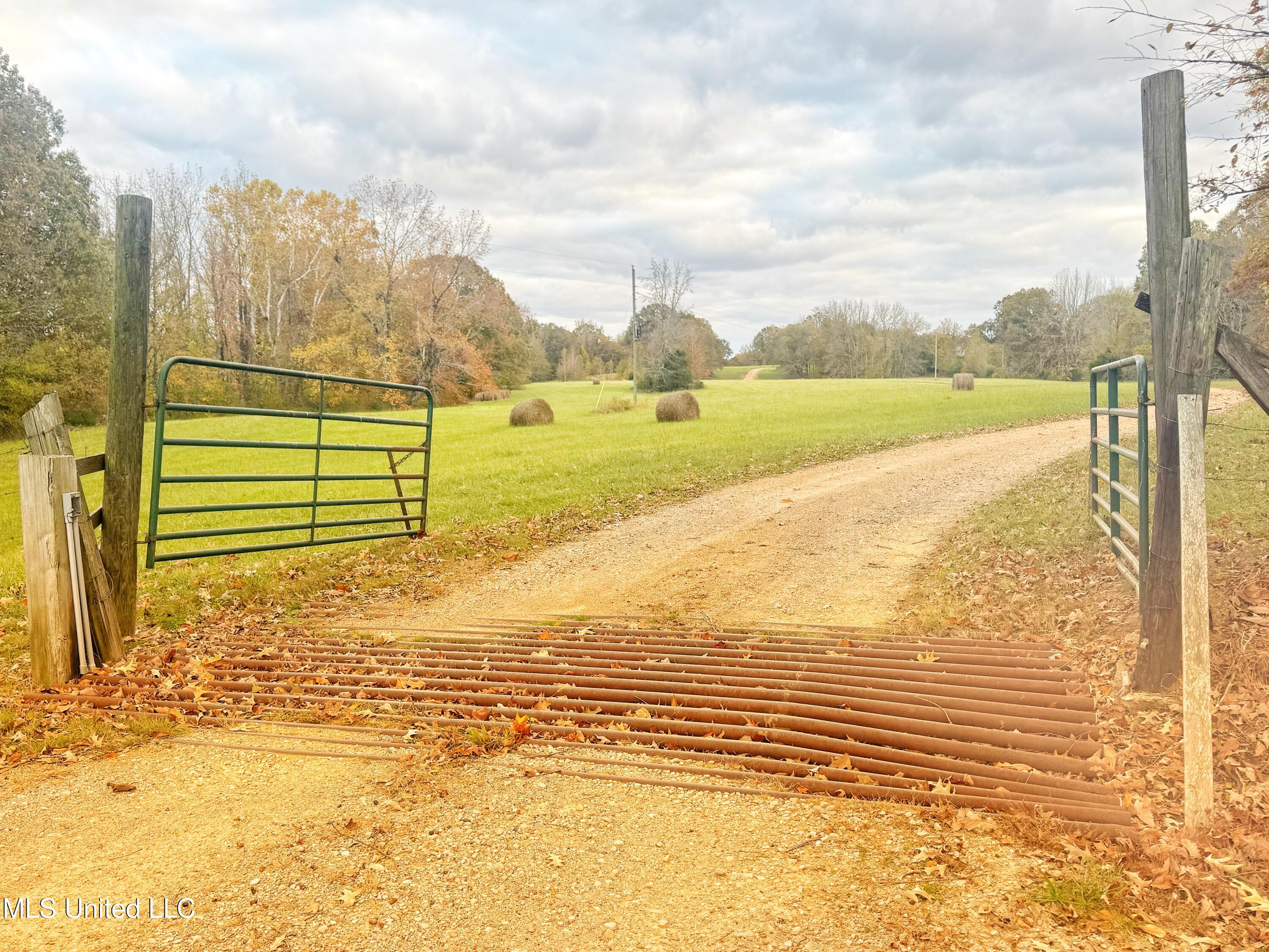 29195 Highway 4 Coldwater, MS 38618 - Photo 38 of 52 IMG_1117