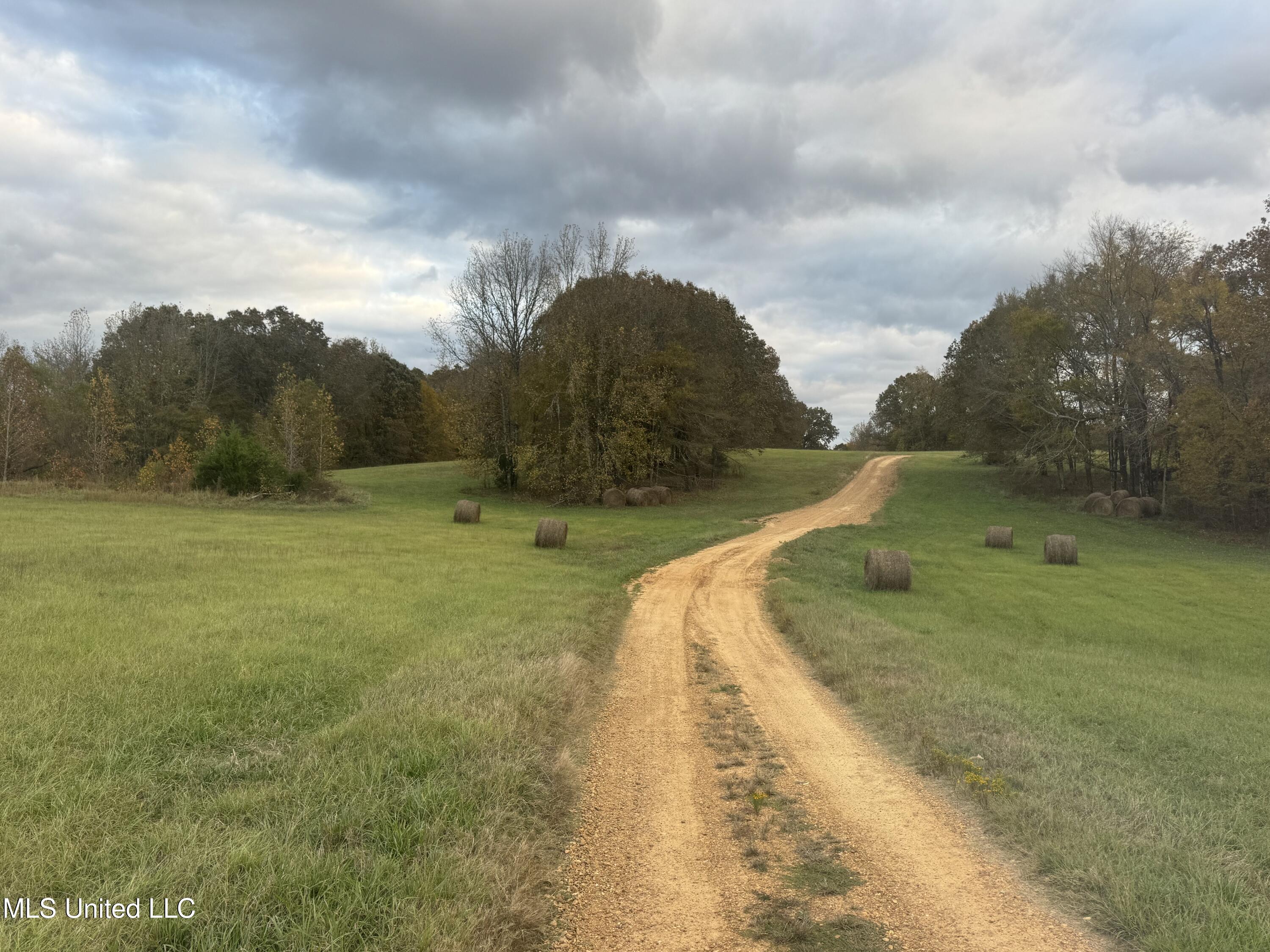 29195 Highway 4 Coldwater, MS 38618 - Photo 39 of 52 IMG_1126