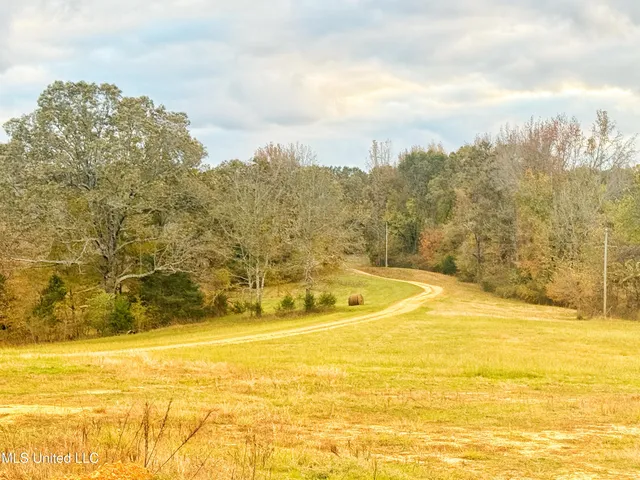 $1,279,000 | 29195 Highway 4, Coldwater, MS 38618