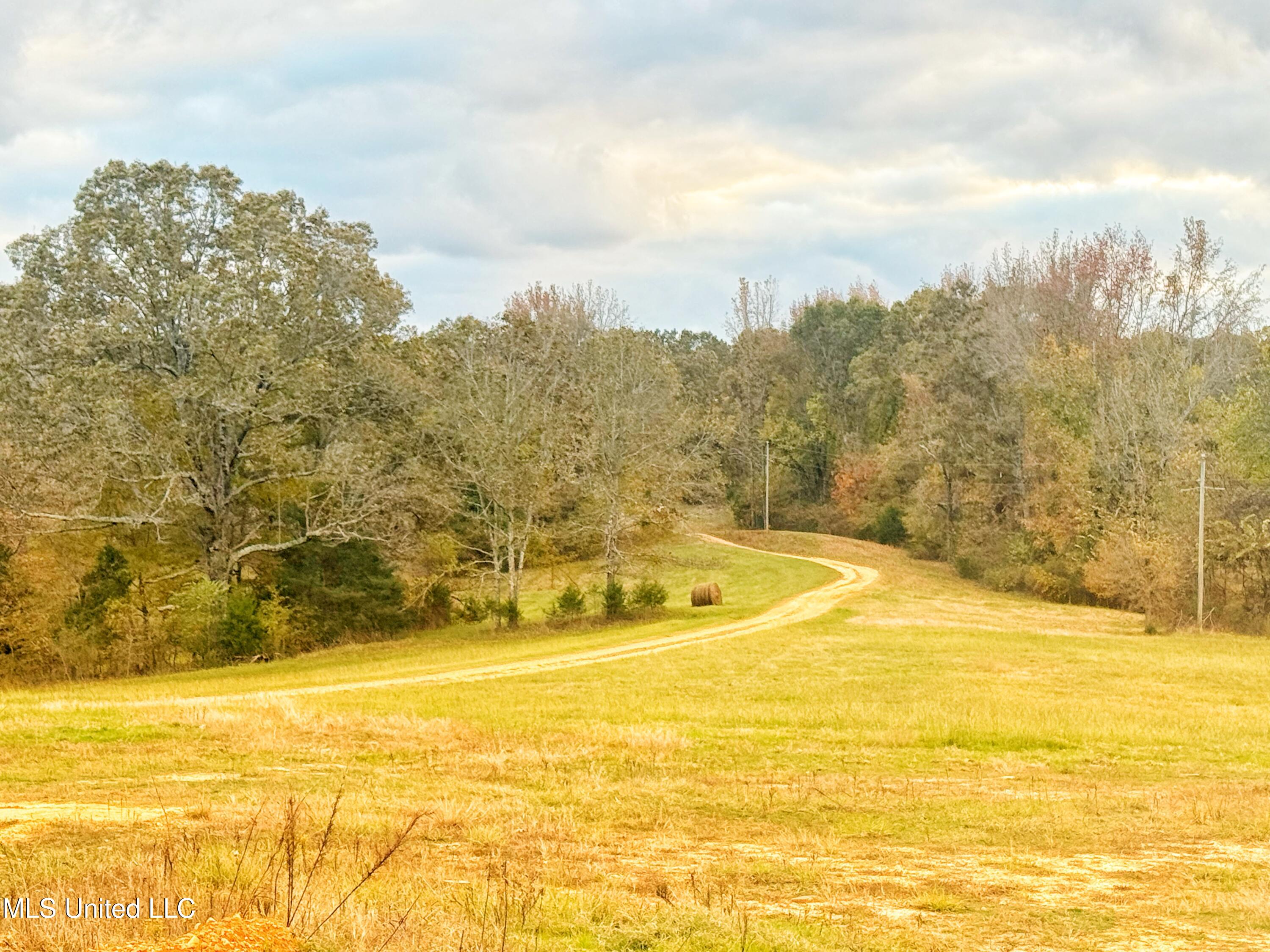 29195 Highway 4 Coldwater, MS 38618 - Photo 41 of 52 IMG_1128