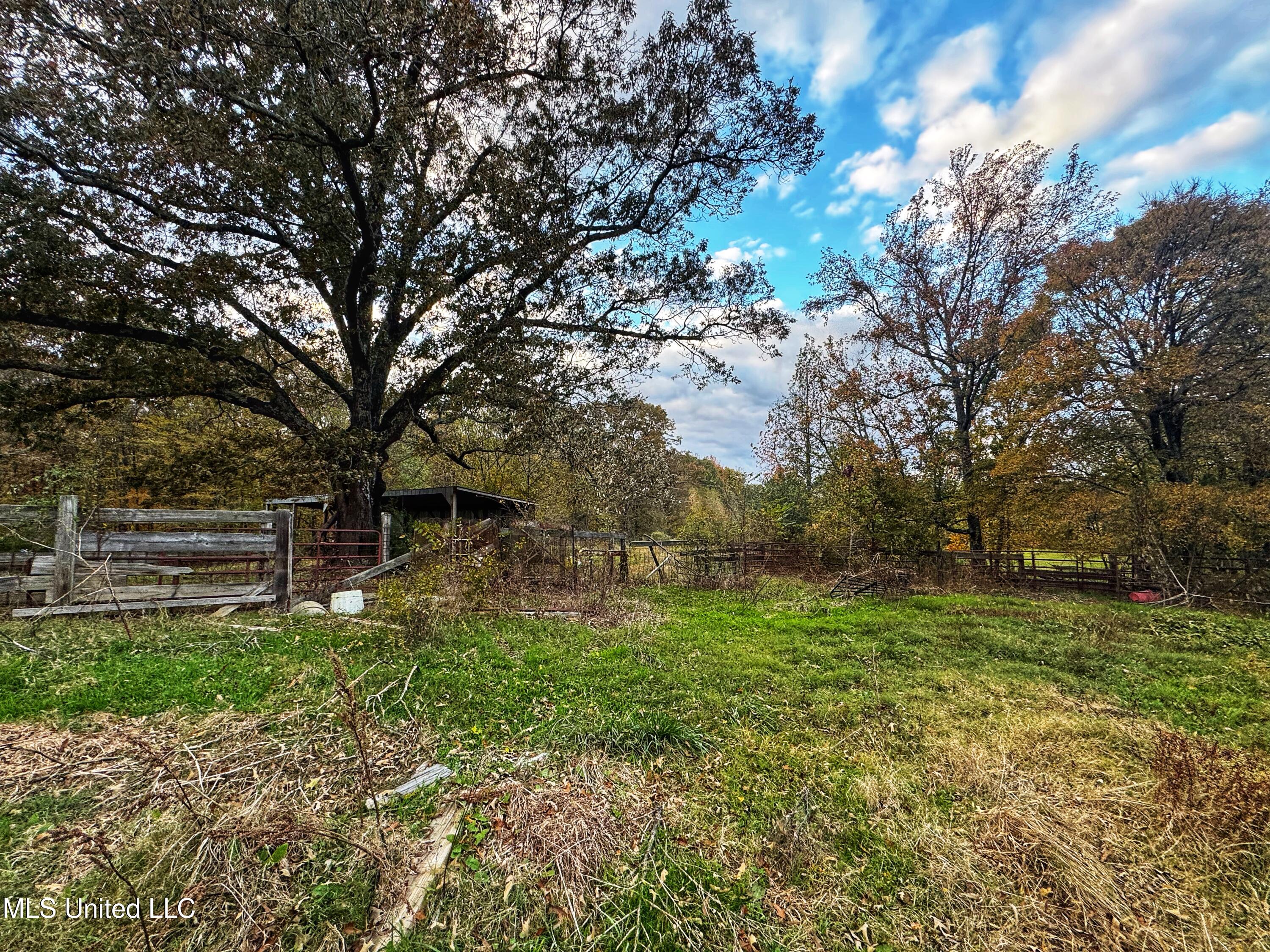 29195 Highway 4 Coldwater, MS 38618 - Photo 42 of 52 IMG_1129