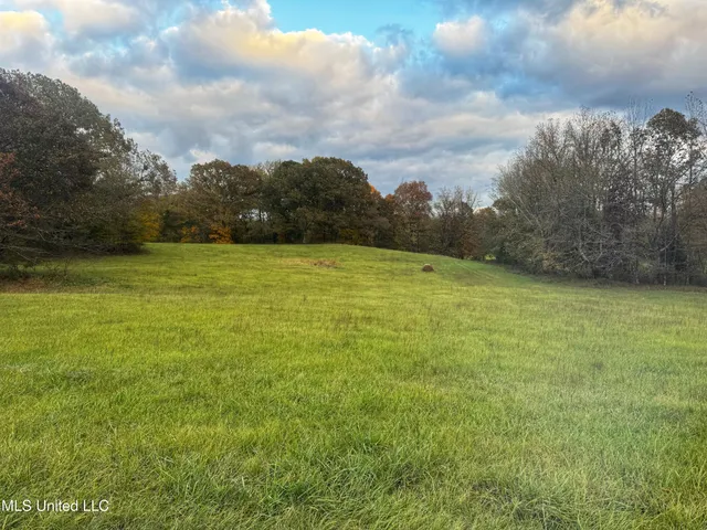 $1,279,000 | 29195 Highway 4, Coldwater, MS 38618