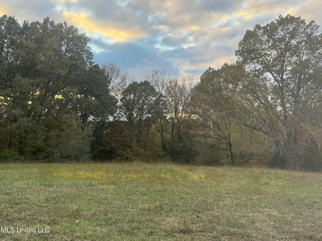 $1,279,000 | 29195 Highway 4, Coldwater, MS 38618