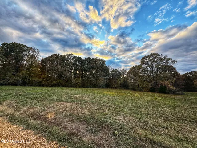 $1,279,000 | 29195 Highway 4, Coldwater, MS 38618