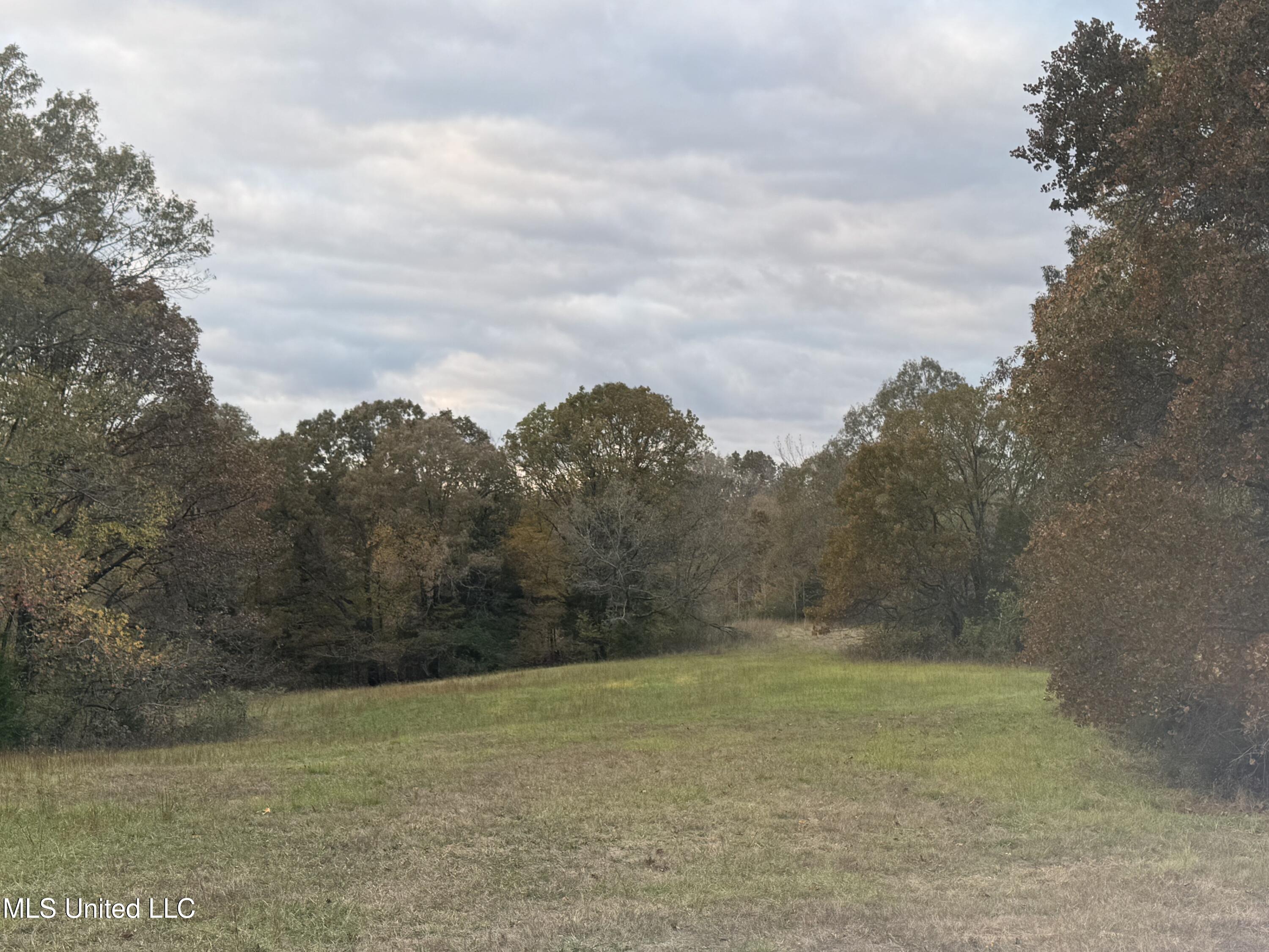 29195 Highway 4 Coldwater, MS 38618 - Photo 50 of 52 IMG_1138