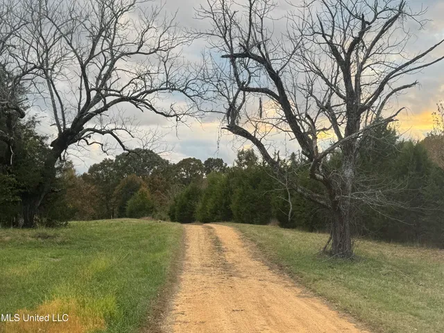 $1,279,000 | 29195 Highway 4, Coldwater, MS 38618