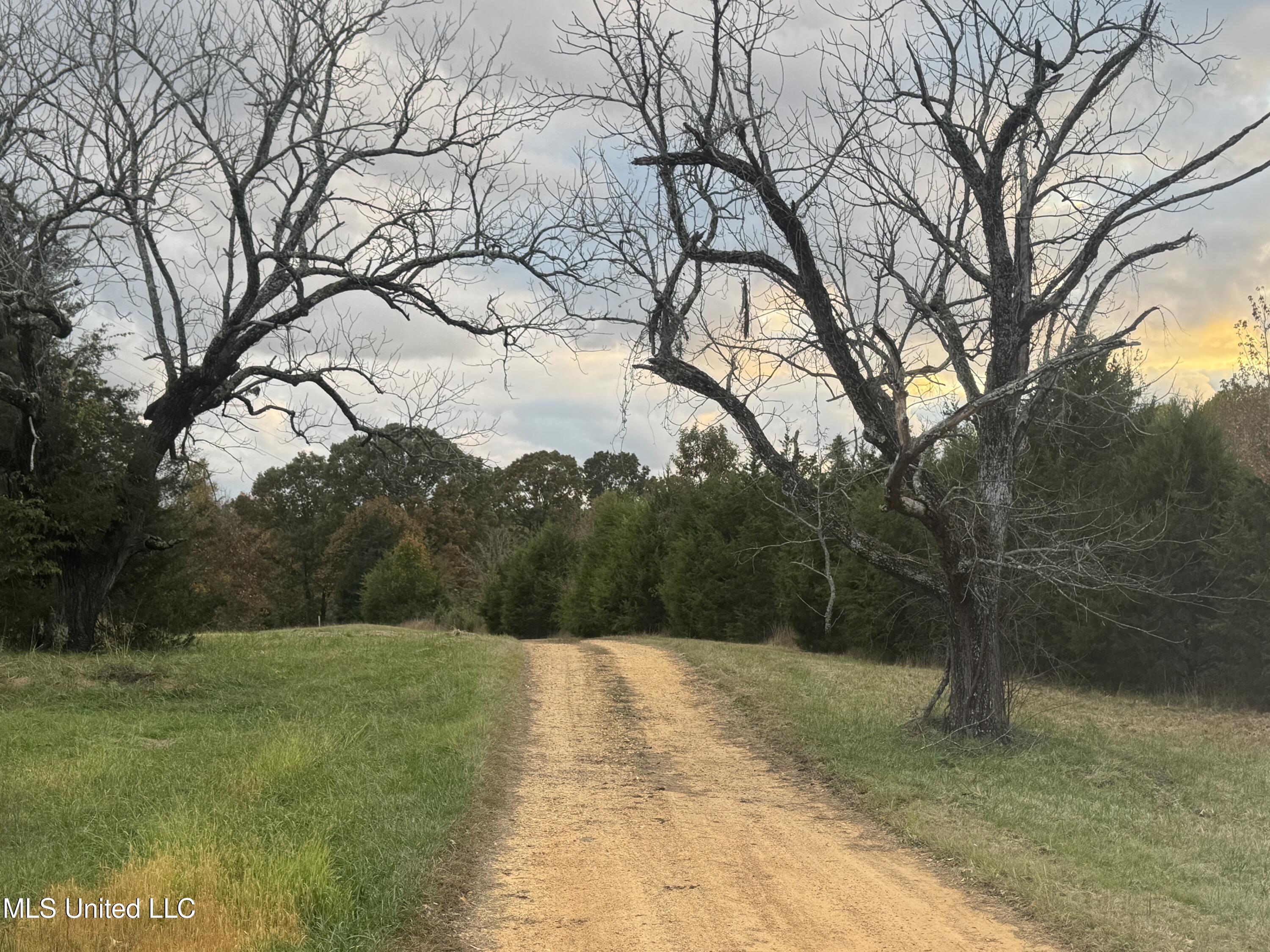29195 Highway 4 Coldwater, MS 38618 - Photo 51 of 52 IMG_1139