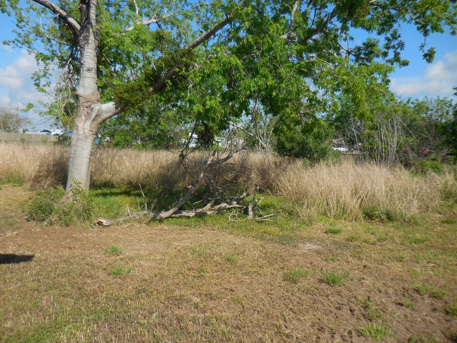 628 Austin Street West Matagorda, TX 77457 - Photo 7 of 19 a backyard of a house with lots of green space and lake view