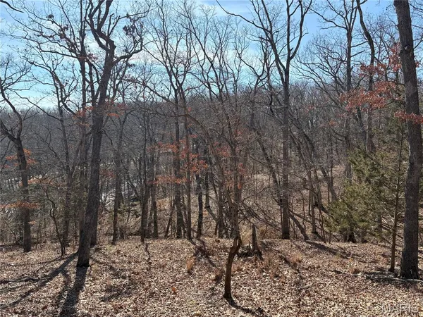 $13,900 | 513 Northgate Drive, New Florence, MO 63363