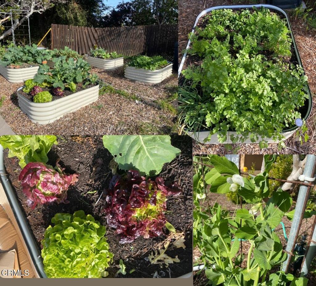 31400 Sherwood Road Fort Bragg, CA 95437 - Photo 14 of 55 a bunch of flowers are in a garden