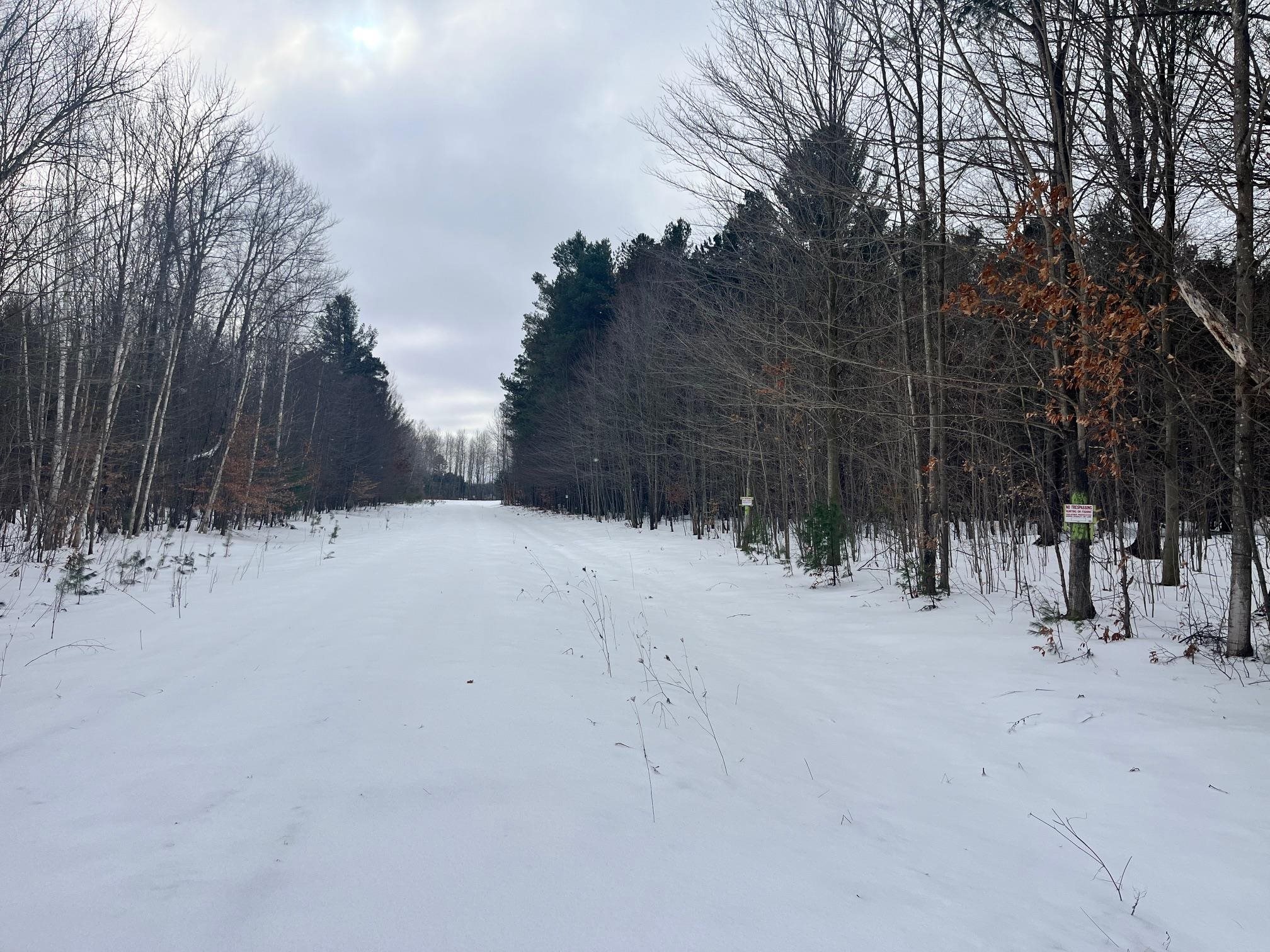 9 9 Mile Road Free Soil, MI 49411 - Photo 6 of 13
