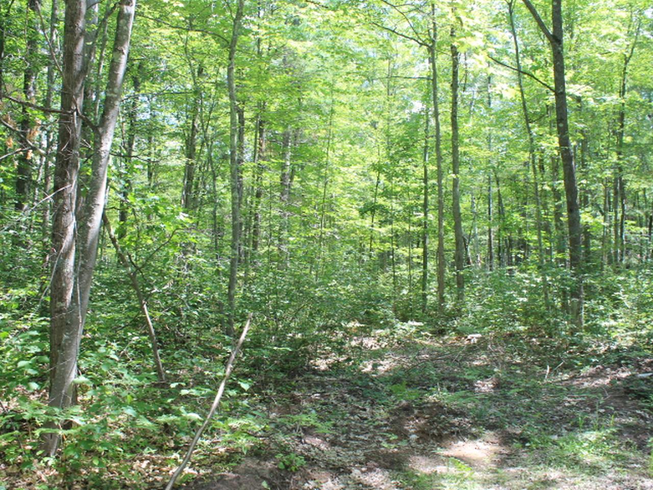 Three O Neil Road, Unit 20 Eagle River, WI 54521 - Photo 9 of 19 Gallery Image 9