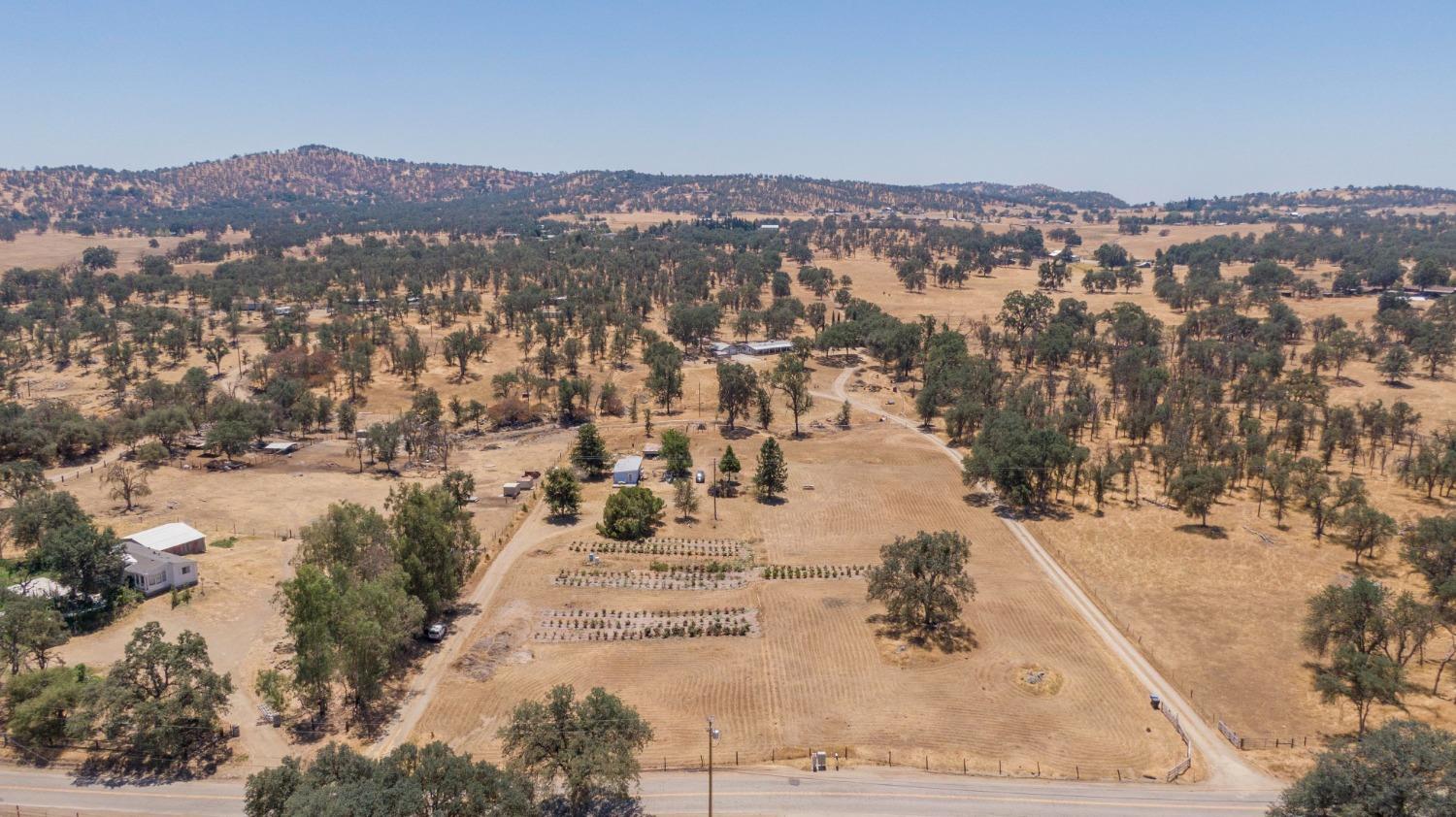 31035 Ruth Hill Road Squaw Valley, CA 93675 - Photo 1 of 36 Gallery Image 1