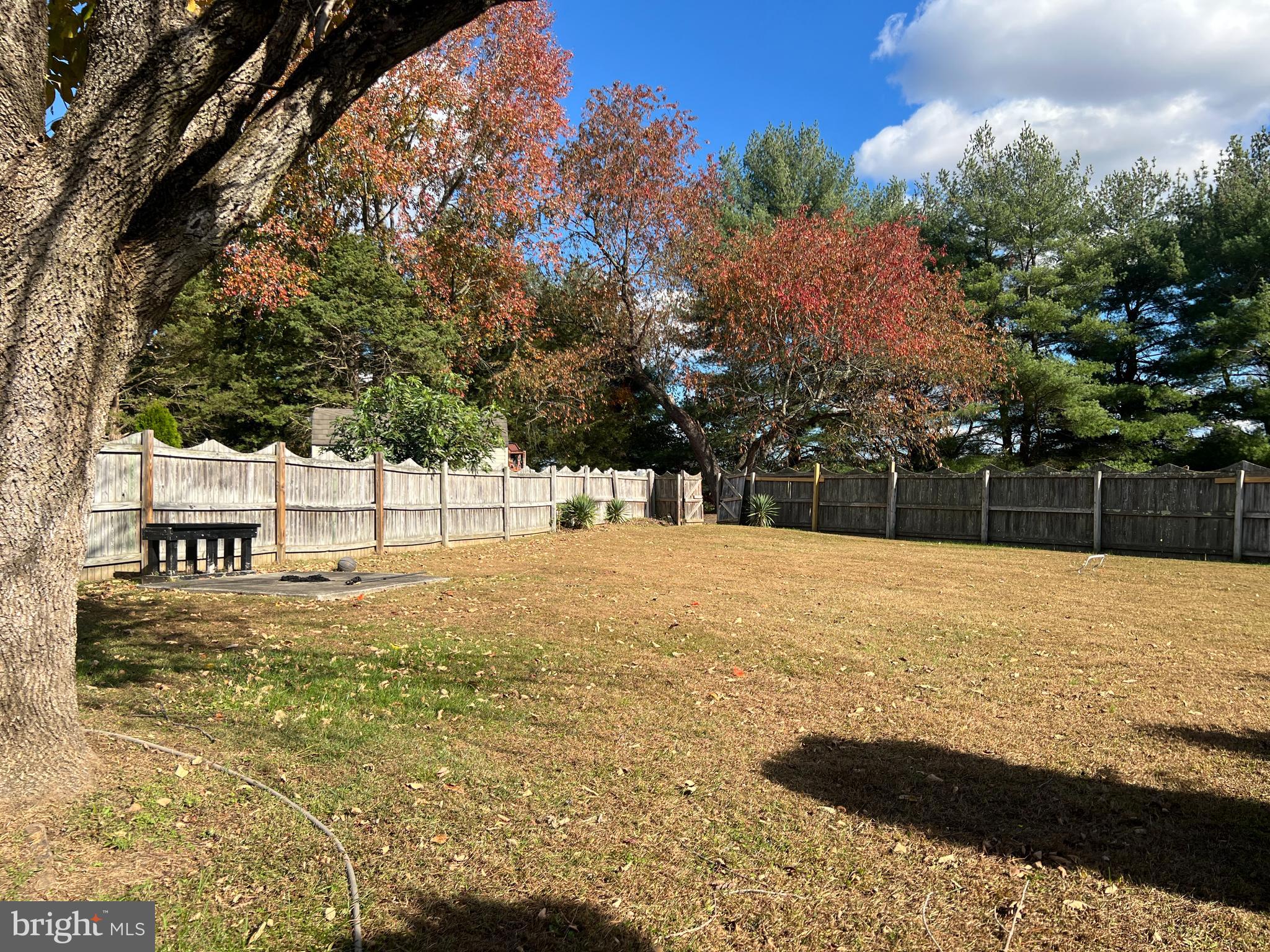 11 Suffolk Court Eastampton, NJ 08060 - Photo 3 of 22 a view of yard
