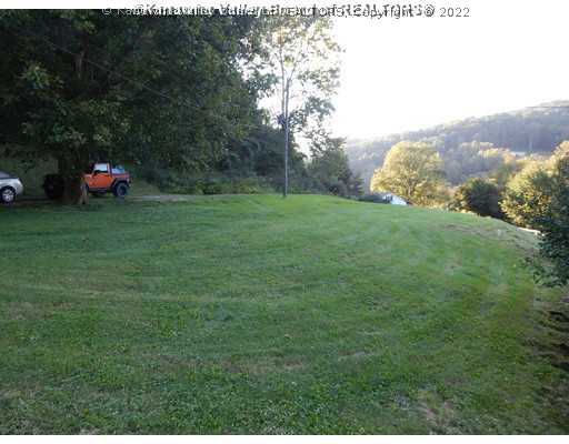 66 Stowers Road Griffithsville, WV 25521 - Photo 2 of 9 Yard/Garden.