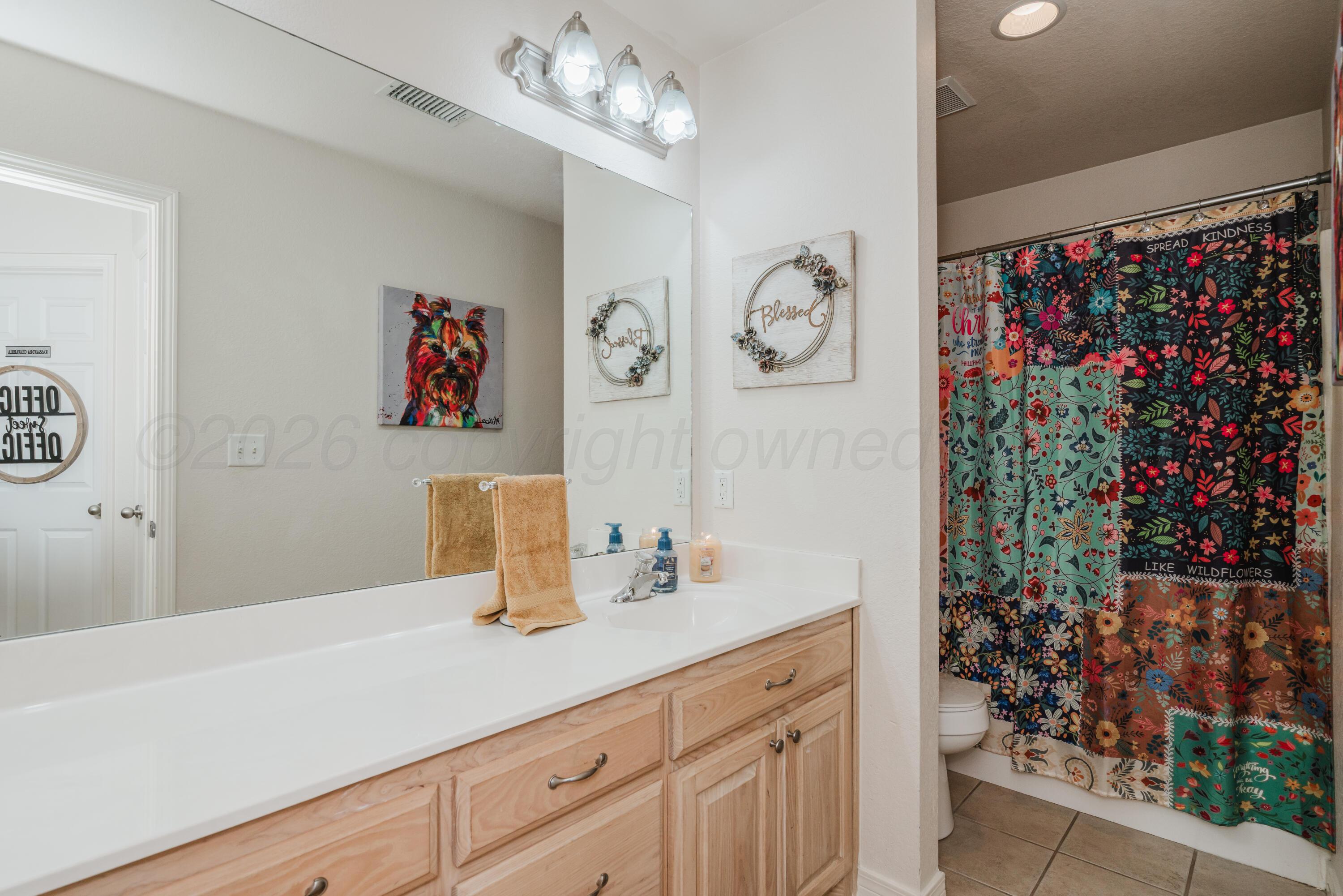 6314 Roadrunner Court Amarillo, TX 79119 - Photo 28 of 36 Hall Bath View 1