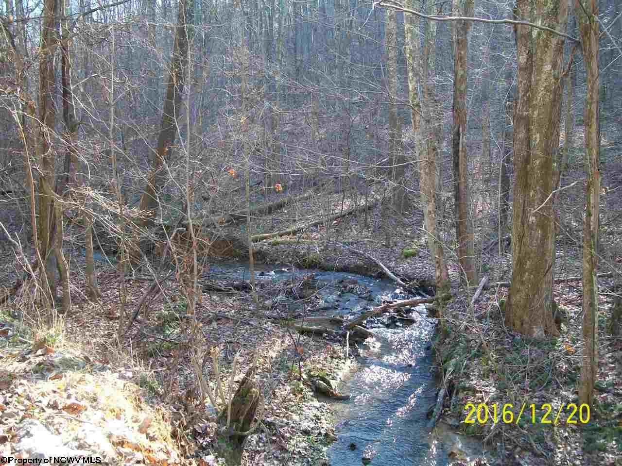 0 Salt Lick Road Montrose, WV 26283 - Photo 6 of 20 Gallery Image 6
