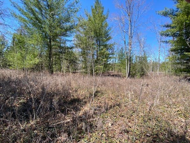 West Ausable Point Road East Tawas, MI 48730 - Photo 11 of 25