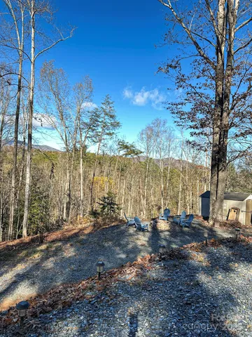 a view of dirt field with large trees