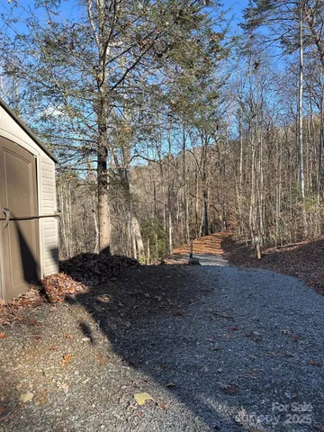 a view of a backyard with large trees